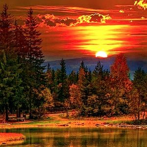 Meet your Posher, Evan